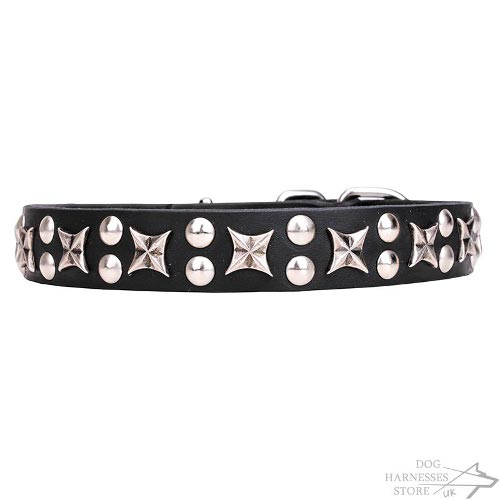 Galaxy Dog Collar UK