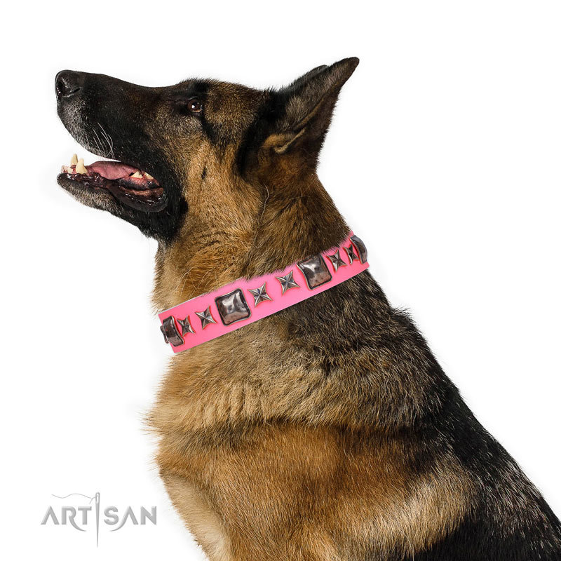 Glamorous Dog Collars Uk Glamorous Dog Collars Uk