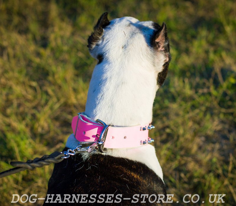 pink girly dog collar for pitbull 35 00