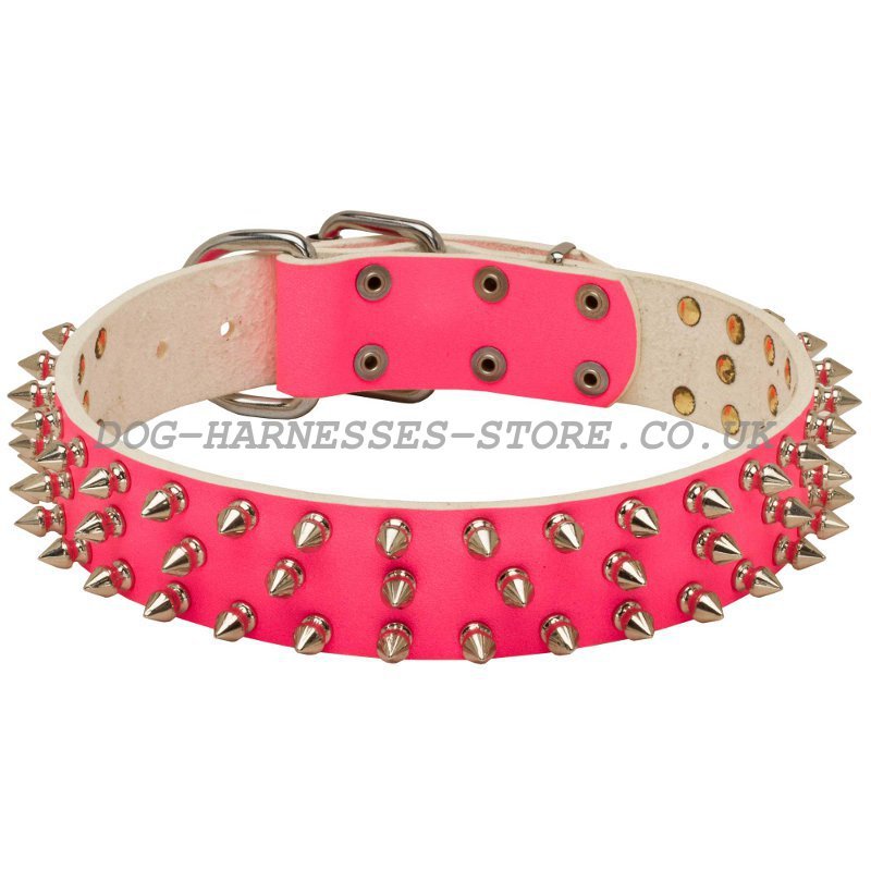 Girl Dog Collar Spiked Pink Leather for Pitbull £49.10