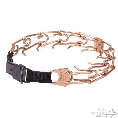 Good Dog Behavior Collar