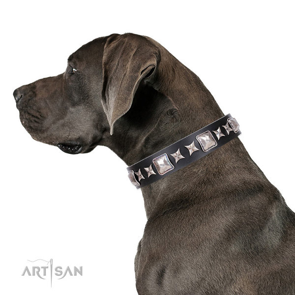 Great Dane Collars UK