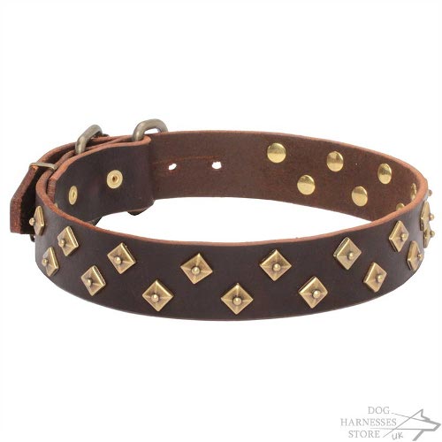 Couture Dog Collars UK