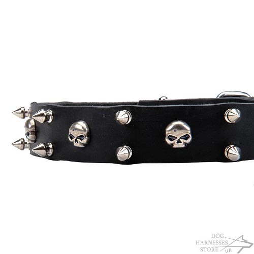 Heavy Metal Dog Collar