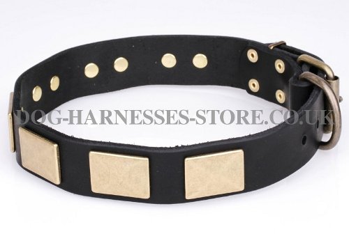 High Quality Dog Collars