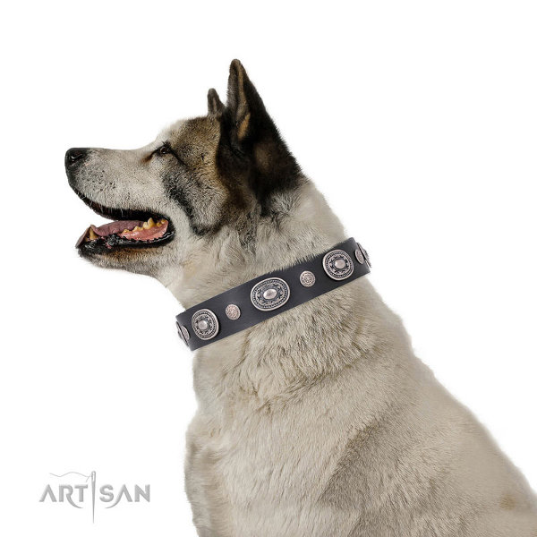 Japanese Akita Inu Collar