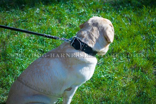 Dog Collar Hardware