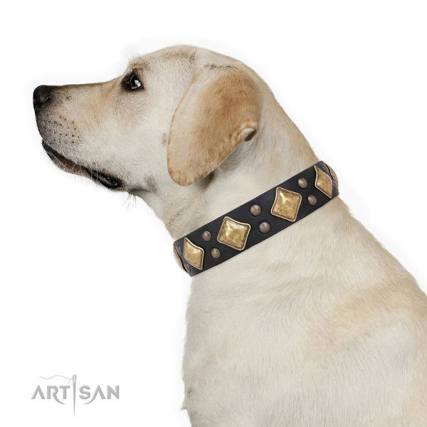 Labrador Collars UK