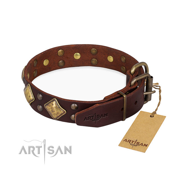 Large Brown Leather Dog Collar