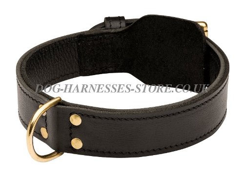 Dog Training Collar UK