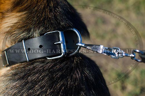 German Shepherd Collars UK