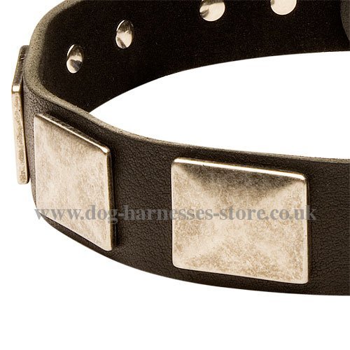 Large Dog Collar UK