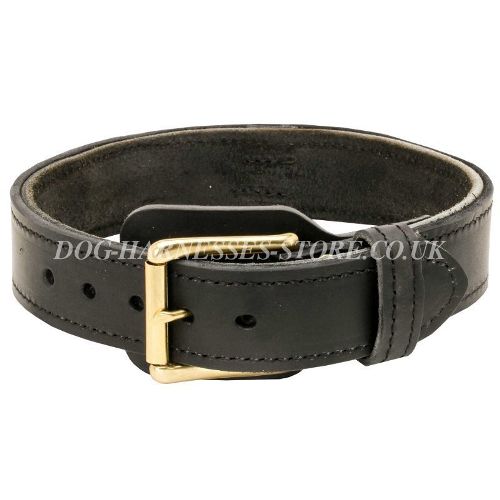 Large Dog Collar