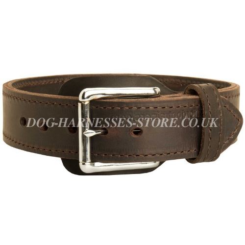 Agitation Dog Collar