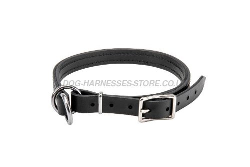 Leather Choke Collar for Dogs