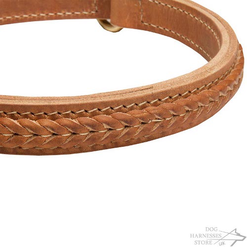 Leather Choke Collar for Dogs