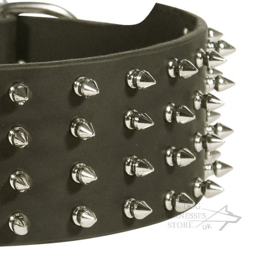 Leather Collar for Large Dog