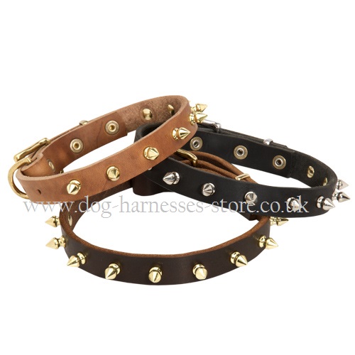 leather collars for dogs