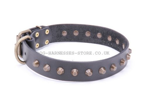 Thick Dog Collars