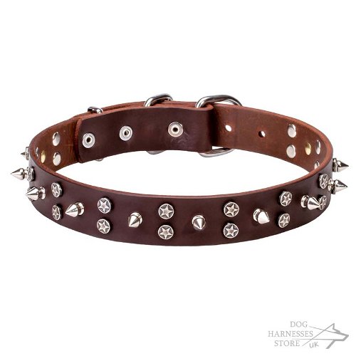 Studded Leather Dog Collar