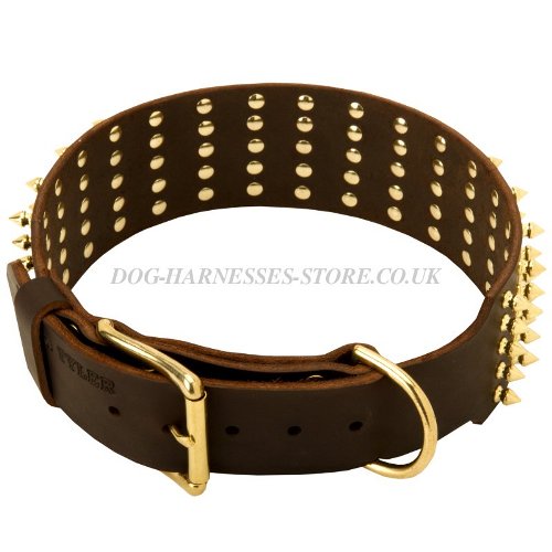 Extra Wide Dog Collars