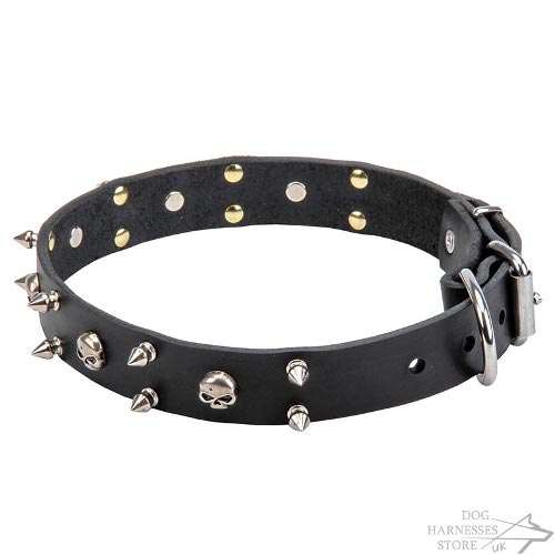 Heavy Metal Dog Collars