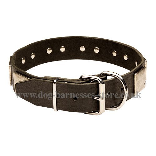 Large Dog Collars UK