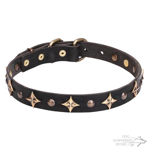 Leather Dog Collar UK