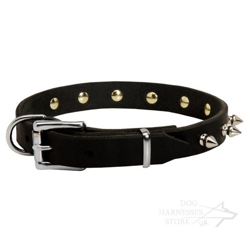 Leather Dog Collar Small Dog