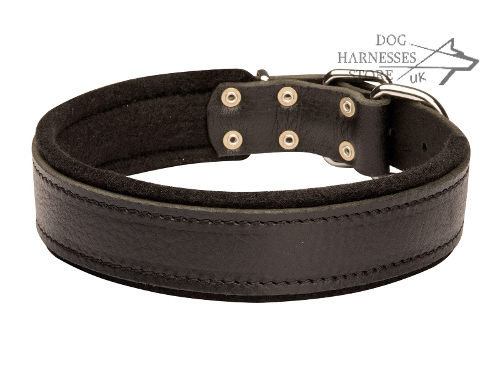 Soft Leather Dog Collar