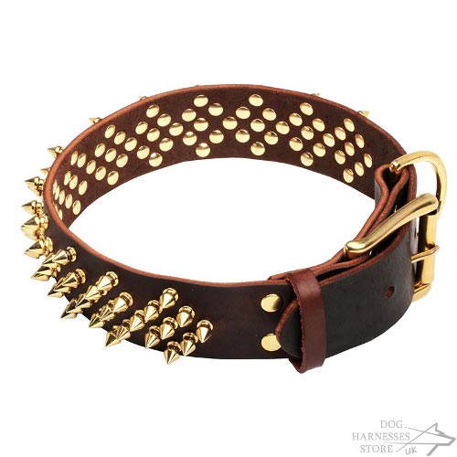 Spiked Leather Dog Collar