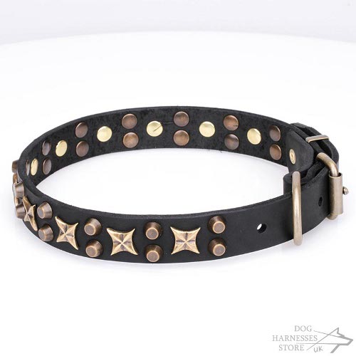 Leather Dog Collar Stars UK