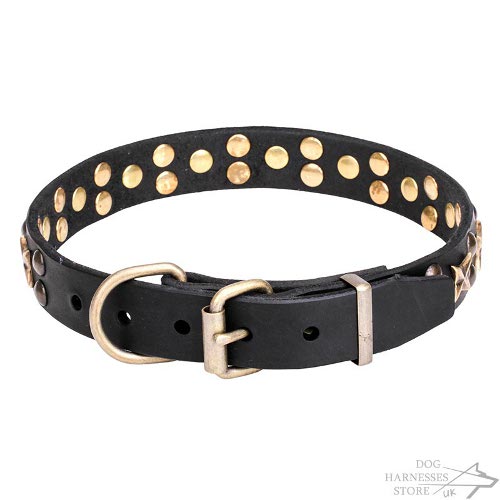 Dog Collar Stars UK