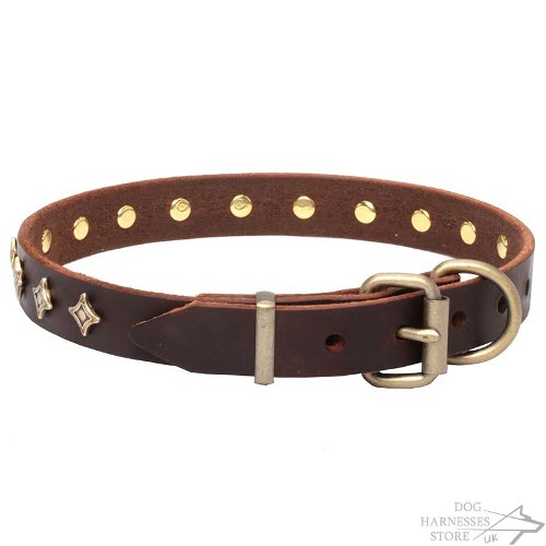 Star Dog Collar UK