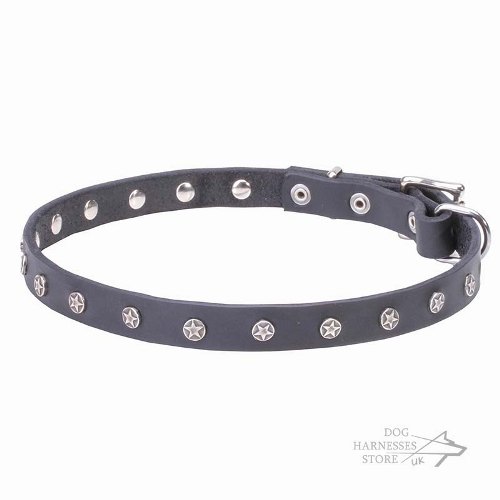 Leather Dog Collar, Thin