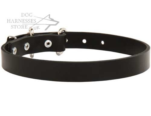 Leather Dog Collar UK