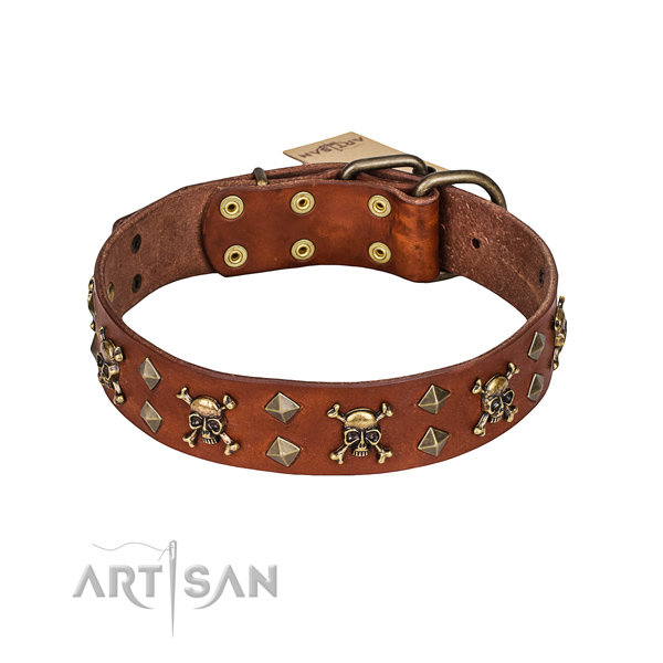 Leather Dog Collar UK