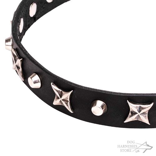 Leather Dog Collar with Stars