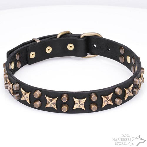 Leather Dog Collar UK