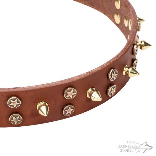 Leather Dog Collar UK, Brass Spikes and Stars