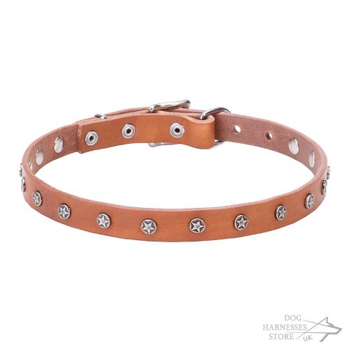 Leather Dog Collar UK, Narrow