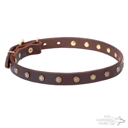 Leather Dog Collar UK, Narrow Star Studded
