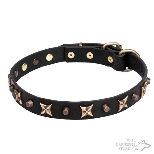 Leather Dog Collar UK, Stars