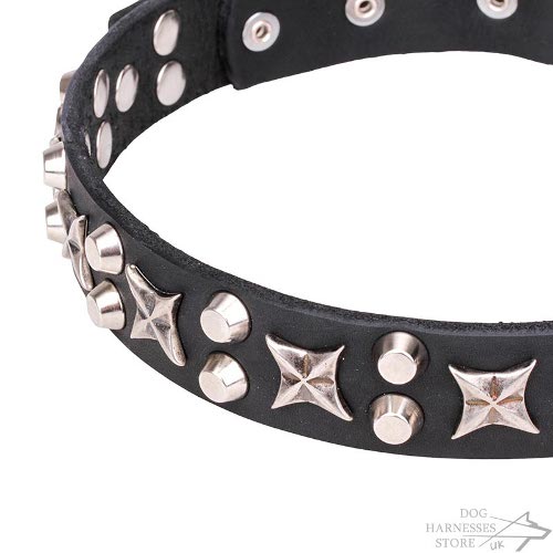Star Dog Collars UK