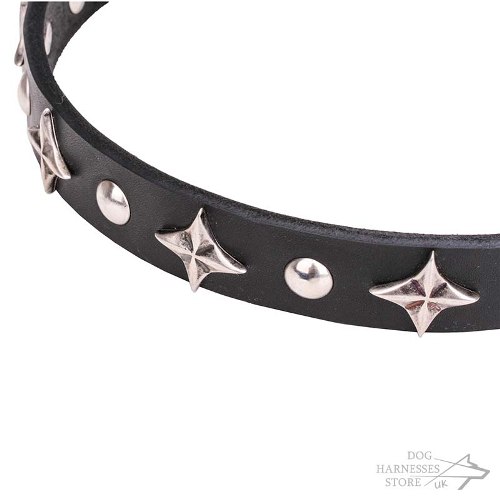 Leather Dog Collar with Stars