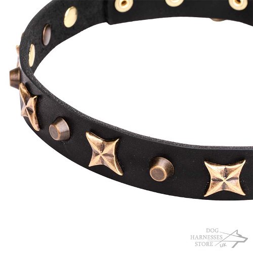 Leather Dog Collar with Stars