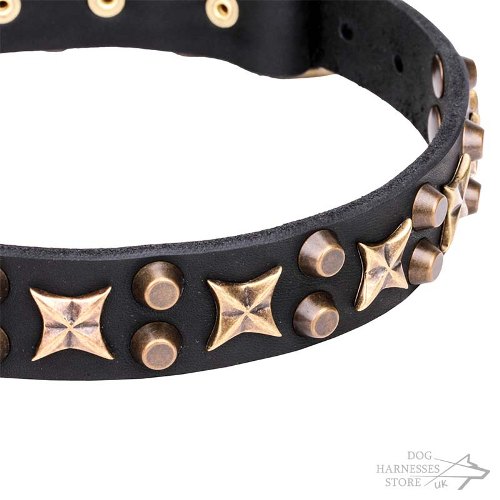 Leather Dog Collar with Stars