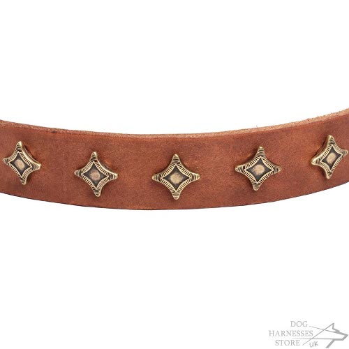 Leather Dog Collar with Stars