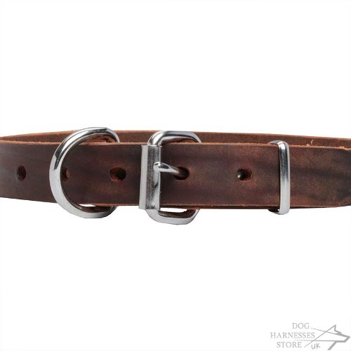 Leather Dog Collar with Stars