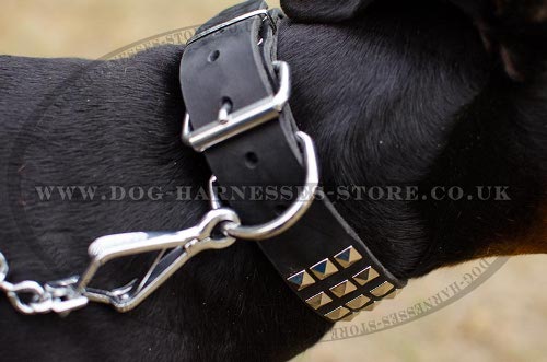 Leather Dog Collars for Dobermans